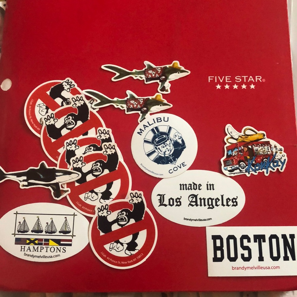 Brandy Melville Rare Sticker Bundle